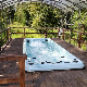  2022 Sunrans 6 Meters Acrylic Hydro Swimming Pool Hot Tub Swim SPA