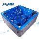  Joyee Hydrotherapy Swim Pool Blue Acrylic Hot Tub Bathtub SPA