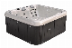  Hot Sale New Product 5 Persons Outdoor Massage Bathtub Hot Tub Spas with SPA