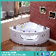 Indoor Corner Jacuzzi Bathtub with Two Loudspeaker (CDT-001 Pneumatic Control) manufacturer
