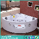 Indoor Surfing Jacuzzi Bathtub with Ozone Generator (TLP-638 Pneumatic Control) manufacturer