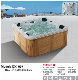  Acrylic Hydro Massage Bathtub with Clear Tempered Glass Modern Design SPA Tub Dx507