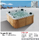 Acrylic Hydro Massage Bathtub with Clear Tempered Glass Modern Design SPA Tub Dx507