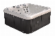 Most Popular Outdoor SPA Price for Sale Bathtub and Hot Tub