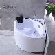 CE Single Person Seat Bath Tub SPA Whirlpool Massage Bathtub with Waterfall