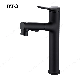 Bto Factory Supply Low Price High Quality Matte Black Brass Bathroom Sinks Tall Faucet