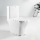  Made in China Modern Ceramic Designs One Piece Wc Toilet Cheap Price P-Trap S-Trap Closestool Toilets