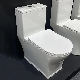  High Quality 1 Piece Toilet Bathroom Ceramic Toilet Sanitary Ware Porcelain Wc Floor Mount Closestool Toilet for Bathroom Floor Standing Toilet Set