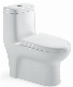 Wc Water Saving Siphon Flushing Water Closet Ceramic Sanitaryware One Piece Toilet (Hz5595)