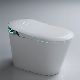  Baby Seat Mode Bathroom Smart Wc Intelligent Automatic Water Closet Electric Toilet