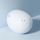  Foam Anti-Splash Luxury Automatic Wc Washlet Egg Shape Smart Toilet Intelligent