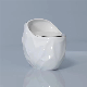 Peanut New Design White Ceramic Wc Round Egg Shaped Porcelain One Piece Bathroom Toilet