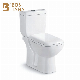 Watermark Square P-Trap Water Saving Two Pieces Water Closet Wc Toilet manufacturer
