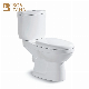 Competitive Price Sanitary Ware Bathroom 2 Two Piece Ceramic Twyford Wc Toilet for Adult manufacturer