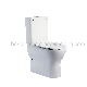  CE Ceramic Sanitary Ware Two Piece Bathroom Wc P-Trap Toilet for Adult