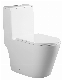 Turbo Tornado Ceramic Sanitaryware Bathroom Wc One Piece Toilet Closet