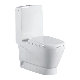 Ceramic Sanitaryware Washdown Toilet One-Piece Toilet Bathroom Wc Toilet manufacturer