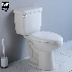 Two Piece Wc Toilet with S-Trap Bathroom Ceramic Toilet