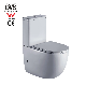 Ovs New Design Modern Sanitary Ware Bathroom Two Piece Ceramic Bathroom Toilets with CE Certificate