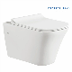 Chaozhou Factory Hot Sale Wc Water Closet One Piece Toilet