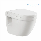 Wholesale White Color Dual Flush Wc Bathroom Washdown Ceramic One Piece Toilet