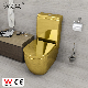 Customization China Bathroom Watermark Toilet Gold Toilet Ceramic Wc Toilet Two Piece P Trap Golden Toilet