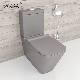 Matte Grey Two Piece Toilet Watermark Approval Water Closet Ceramic Toilet Suite with CE Certification