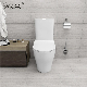 Good Price CE Standard Two Piece Twyford Toilet Watemark Toilet manufacturer