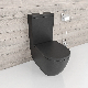 Bath Shower Toiletwatermark Closed Couple Toilet Matte Black Close Coupled Ceramic Wc China