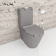 Two Pieces Wash Down Toilet Water Closet Ceramic Toilet