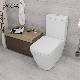 Back to Wall Floor Mount Toilet P Trap Ceramic Two Piece Toilet