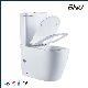 Close Coupled 2 Piece White Wc Toilet Washdown P Trap Water Closet Toilet Wares with CE Watermark