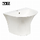  Ceramic Wall Hung Basin Bathroom Sinks Semi-Pedestal Basin Hand Wash Sink