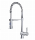 Santary Ware Pull out Shower Spout Kitchen Faucet manufacturer