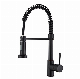 35mm Series Stainless Steel Pull-out Black/Sliver Kitchen Faucet Custom Made Model Supply