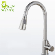 304 Stainless Steel Kitchen Faucets with Pull out Spout