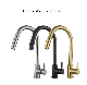 Zb6189 Hot Sale High Quality Pull out Kitchen Faucet