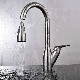  Sanitary Ware Stainless Steel Kitchen Pull out Single Handle Faucet