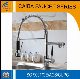  Modern and Popular Brass Spring Kitchen Faucet CB-21205