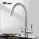 Double Handle 304 316 Stainless Steel 3-Way Kitchen Sink Drinking Water Faucet manufacturer