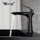 Ablinox Modern Black Matte Precision Casting Kitchen Mixer Basin Faucet