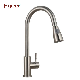  Fyeer 304 Stainless Steel Kitchen Sink Faucet with Pull out Spray
