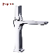 Fyeer Brass Bathroom Basin Mixer Tap