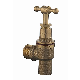 Angle Brass Water Bibb Bib Cock for Garden manufacturer