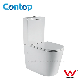 Australia Rimless Tornado Flushing Wall Faced Toilet