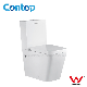 Wall Faced Watermark Approval Ceramic Toilet Bowl