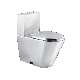 Stainless Steel Heavy Duty Prison Toilet