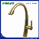 Stainless Steel 304 Mixer Sanitary Ware Factory Pull out Water Tap PVD Gold Kitchen Faucet (FT1123G)