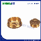  Forged Plug Brass Pipe Fittings for Plumbing (MK12108)