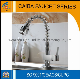 Modern and Popular Brass Spring Kitchen Faucet CB-21202